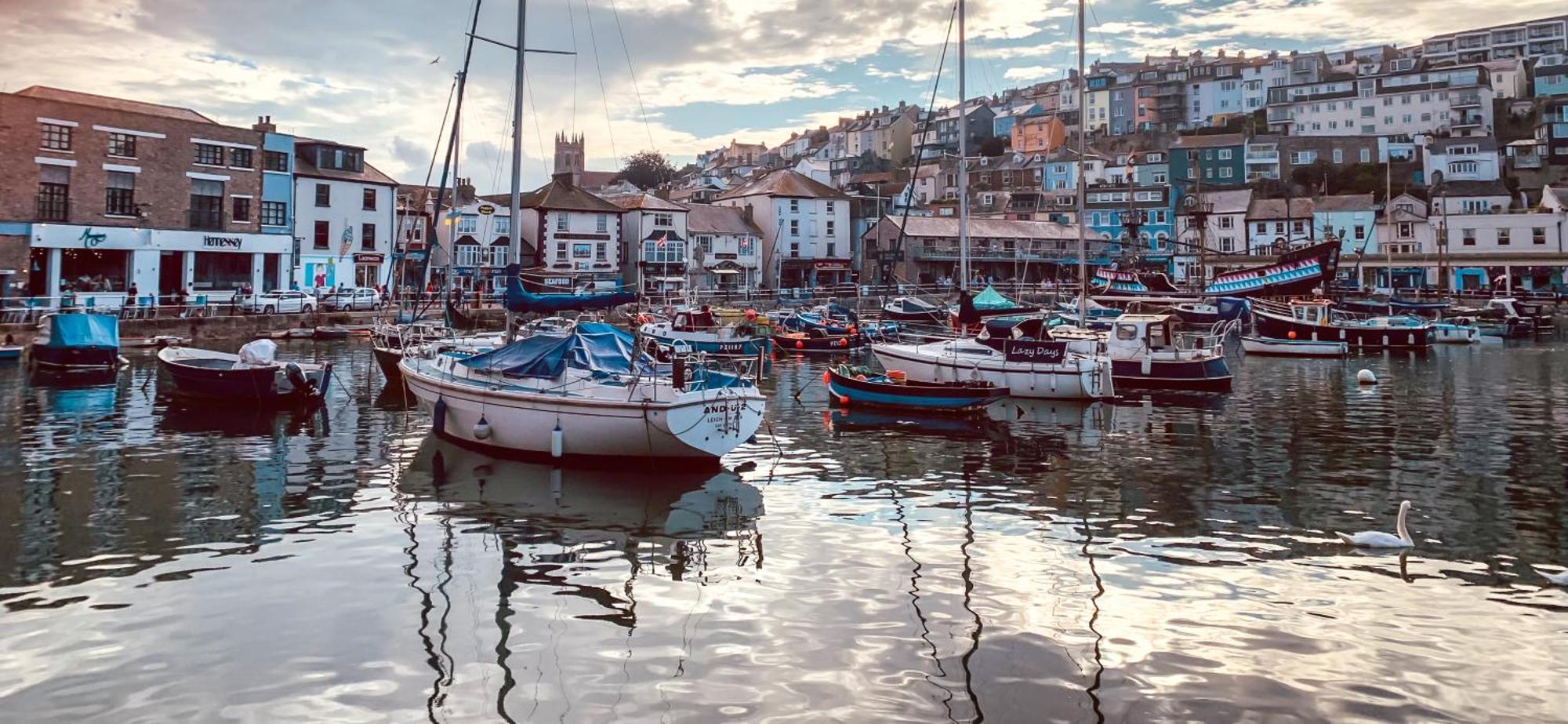 Driftwood B&B Brixham Zewnętrze zdjęcie